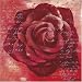Ravensburger 15213 - Rote Rose, 500 Teile quadratisch Puzzle