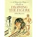 A Step-by-Step Guide to Drawing the Figure