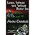 Look What the Wind Blew In (A Dig Site Mystery) (Volume 1)