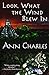 Look What the Wind Blew In (A Dig Site Mystery)