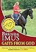Gaits from God: Discover the Secrets to Owning and Riding Gaited Horses