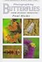Photographing Butterflies and Other Insects: Photographic Hints and Tips (Photographic hints & tips)