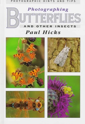 photographing butterflies and other insects photographic hints and tips photographic hints  tips