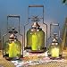 Kitchen & Housewares : Bird Lantern - Set of 3 - Green
