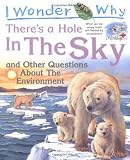 I wonder why there's a hole in the sky : and other questions about the environment