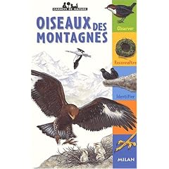Oiseaux des montagnes