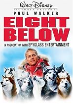 Stream Eight Below Online.