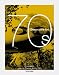 Decorative Arts, 1970's: A Sourcebook (Taschen Specials)