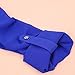 Coromose Women V-neck Chiffon Long Sleeve Shirt Blouse (M, Blue)