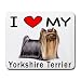 yorkshire_terrier19yorkshire terrier - I Love My Yorkshire Terrier Mouse Pad