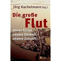 Die gro�e Flut. Unser Klima, unsere Umwelt, unsere Zukunft