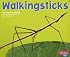 Walkingsticks (Pebble Plus, Bugs, Bugs, Bugs)