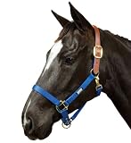 Roma Breakaway Halter