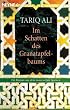 Im Schatten des Granatapfelbaums: Ein Roman aus dem maurischen Spanien