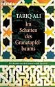 Im Schatten des Granatapfelbaums: Ein Roman aus dem maurischen Spanien