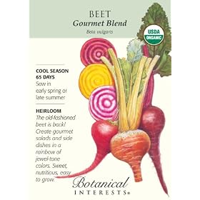 Beets Gourmet Blend Certified Organic Heirloom Seeds 100 Seeds