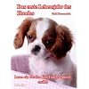 Das erste Lebensjahr des Hundes Lasse - ein Cavalier King Charles Spaniel erz�hlt: Das Buch vom Hund - Welpe und Junghund
