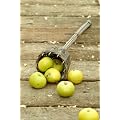 Wicker Long Reach Apple Picker