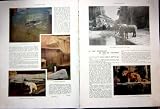 Zoo Vincennes Tropical Animal Park French Print 1936