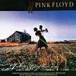 Pink Floyd - Dancers Decal