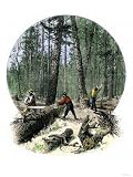 51F6J%2BAuXL.SL160MinnesotaLoggersCuttingTreesandSawingLogswithaTwoManSaw,c.1860GicleePosterPrint,9x12