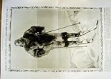 1912 Captain Roald Amundsen South Pole Discoverer