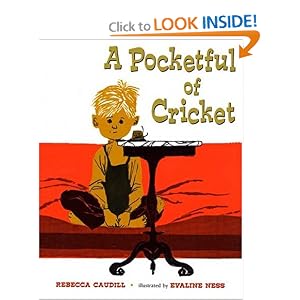 A Pocketful of Cricket