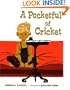 A Pocketful of Cricket