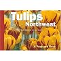 Tulips of the Northwest: A Postcard Book (Postcard Books)