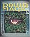 Druid Magic: The Practice of Celtic Wisdom