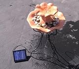 Solar Powered Water Fountain