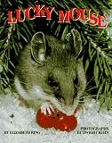 Lucky Mouse