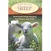 Sheep: Small-Scale Sheep Keeping for Pleasure and Profit (Hobby Farms)