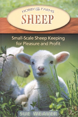 Sheep