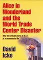 Alice in Wonderland and the World Trade Center Disaster