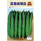 夏節成胡瓜(一般種)　数量:2ml