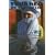 Touareg du XXIe si�cle