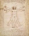 Art Poster Print - Human Proportions-Vitruvian Man - Artist: Leonardo Da Vinci - Poster Size: 16 X 20 inches