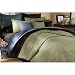 Greenland Home Josephine Queen 3-Piece Bedspread Set, Chocolate