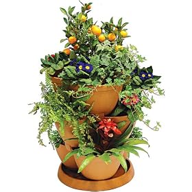Self Watering TERRACOTTA Plant & Flower Pots - Set of 3 Stackable MEDIUM Planter Tubs with Tray (Flowers not included)