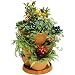 Self Watering TERRACOTTA Plant & Flower Pots - Set of 3 Stackable MEDIUM Planter Tubs with Tray (Flowers not included)