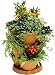 Self Watering TERRACOTTA Plant & Flower Pots - Set of 3 Stackable MEDIUM Planter Tubs with Tray (Flowers not included)
