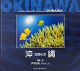 奇跡の海 沖縄 (SUIKO BOOKS)