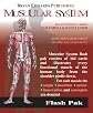 The Muscular System (Flash Paks/Volumes 1 and 2)
