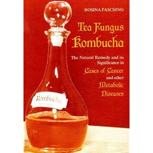 Tea Fungus Kombucha the Natural Remedy