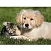 Little Friends Jigsaw Puzzle 100pc