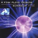 Pink Floyd Tribute - Echoes Of Pink
