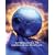 Introduction to Information Systems with MISource 2007