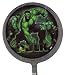 Incredible Hulk 18" Mylar Balloon