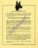Rules In A Belgian Malinois' House